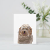 Schattige Labradoodle Hond Briefkaart (Staand voorkant)