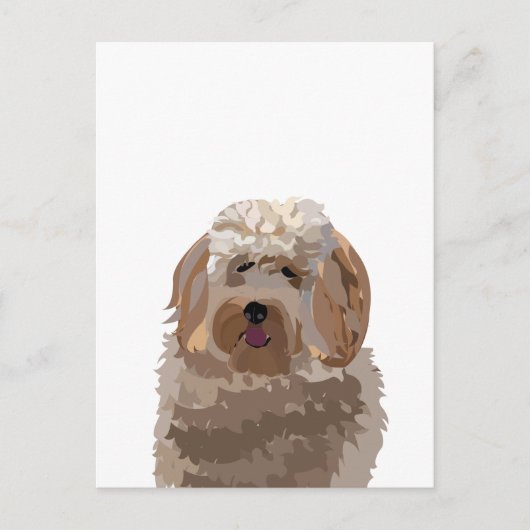 Schattige Labradoodle Hond Briefkaart (Voorkant)