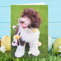 Schattige Labradoodle Paaseierenzoekkaart