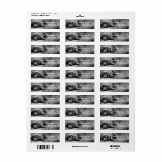 Schattige  Labrador custom retour adres label (Full Sheet)