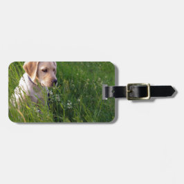 Schattige Labradord puppy in gras Bagagelabel