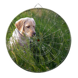 Schattige Labradord puppy in gras Dartbord