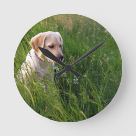 Schattige Labradord puppy in gras Ronde Klok