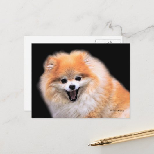 Schattige Lachende Pomeranian Hond Briefkaart (Voorkant / Achterkant in situ)