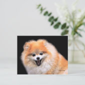 Schattige Lachende Pomeranian Hond Briefkaart (Staand voorkant)
