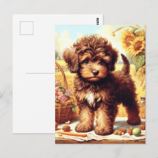 Schattige Lagotto Romagnolo schilderij Briefkaart (Voorkant / Achterkant)
