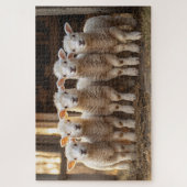 Schattige lammeren op een rij rustiek Boerderij Legpuzzel (Verticaal)