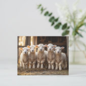 Schattige lammeren op een rij rustiek briefkaart (Staand voorkant)