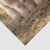 Schattige lammeren op een rij rustieke decoupage tissuepapier (Detail)