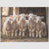 Schattige lammeren op een rij rustieke decoupage tissuepapier (Voorkant)