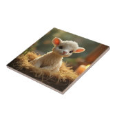 SCHATTIGE LAMSVLEES IN DE KRIBBE TEGELTJE (Zijkant)