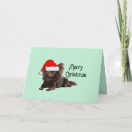 Schattige Lang Haar Chocolade Chihuahua Kerst Kaart