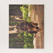 Schattige lange-termijnblaasjespapuppy legpuzzel (Verticaal)