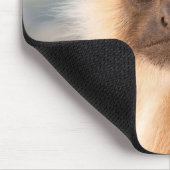 Schattige Langurs Presbytis Entellus Muismat (Hoek)
