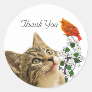 Schattige Lapjeskat, Bloemen & Kleine Vogel Dank U Ronde Sticker