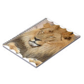Schattige leeuw notitieboek (Linkerzijde)
