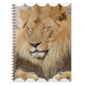 Schattige leeuw notitieboek (Voorkant)