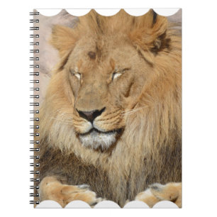 Schattige leeuw notitieboek