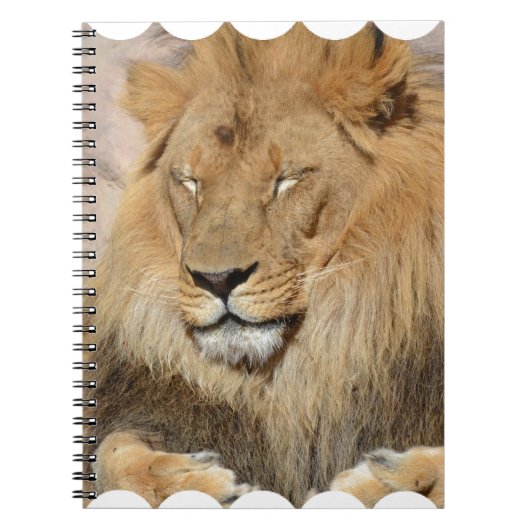 Schattige leeuw notitieboek (Voorkant)