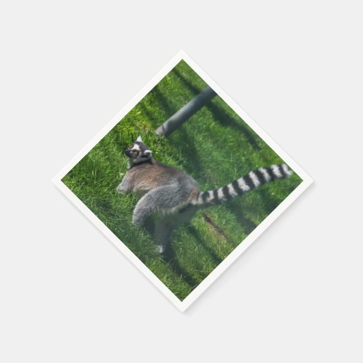 Schattige lemur servet (Hoek)