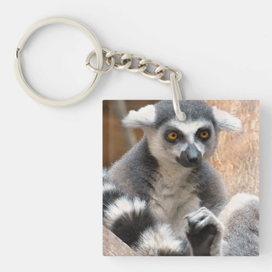 Schattige Lemur Sleutelhanger (Voorkant)