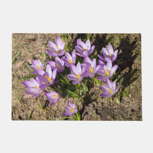 Schattige lente krokussen deurmat (Voorkant)