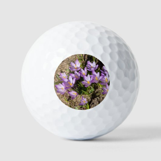 Schattige lente krokussen golfballen (Voorkant)