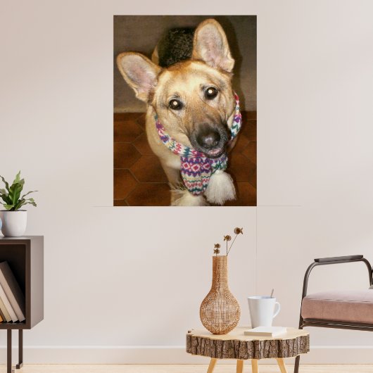Schattige liefdevolle Duitse herdershond met sjaal Poster (Woonkamer 3)