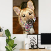 Schattige liefdevolle Duitse herdershond met sjaal Poster (Thuiskantoor)