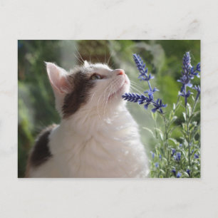 Schattige liefdevolle keuten in de tuin briefkaart