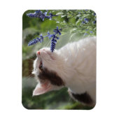 Schattige liefhebbende Kitten in de tuin Magneet (Verticaal)