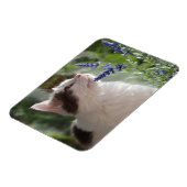 Schattige liefhebbende Kitten in de tuin Magneet (Linkerzijde)