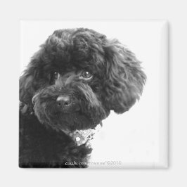 Schattige liefhebbende vriend magneet