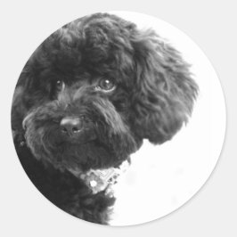 Schattige liefhebbende vriend ronde sticker