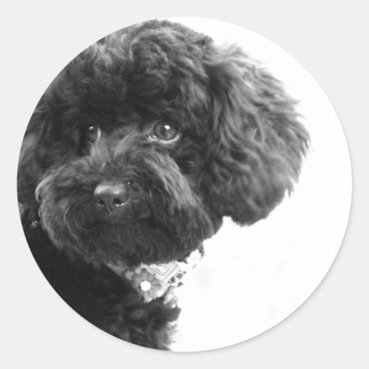 Schattige liefhebbende vriend ronde sticker (Voorkant)