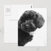 Schattige liefhebber briefkaart (Voorkant / Achterkant)