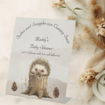 Schattige lieve baby egel baby shower