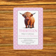 Schattige Lieve Hooglanders Koe verjaardag