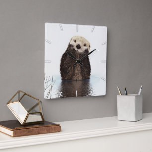 Schattige Lieve Pluizige Otter Dier Vierkante Klok