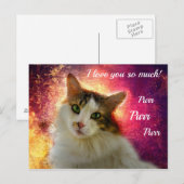 Schattige Lieve Schimmelkat Briefkaart (Voorkant / Achterkant)