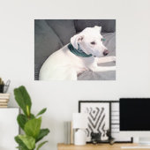 Schattige Lieve Witte Hond Met Groene Sjaal Poster (Thuiskantoor)