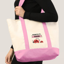 Schattige lieveheersbeestjes gepromoveerd tot oma