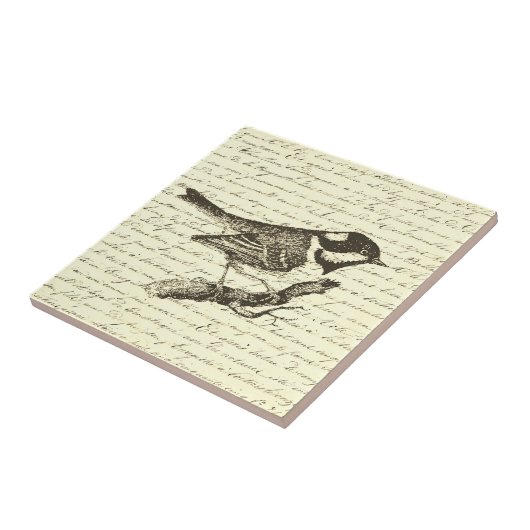 Schattige Little Bird  Frans script Beige Tegeltje (Zijkant)