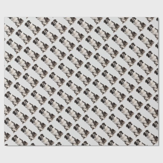 Schattige Little Black White Border Collie Dierend Cadeaupapier (Vlak)