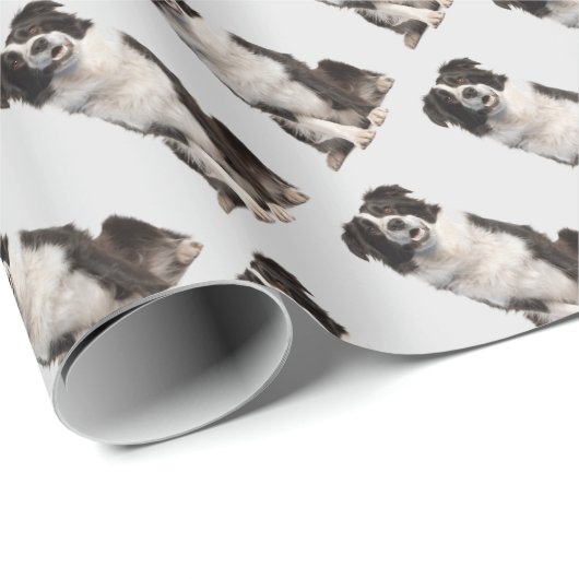 Schattige Little Black White Border Collie Dierend Cadeaupapier (Rol Hoek)
