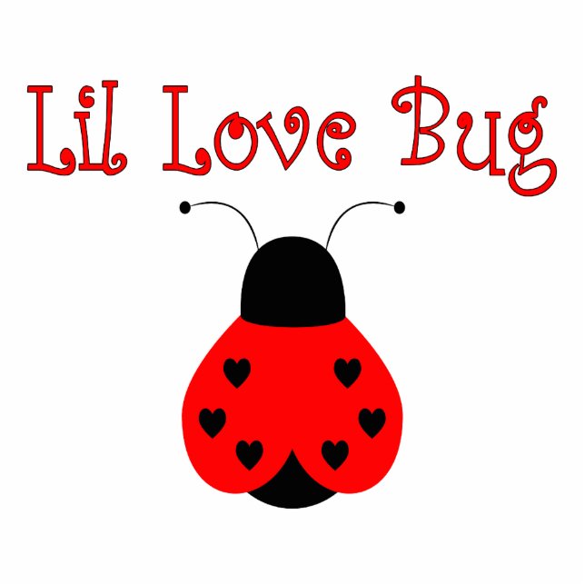 Schattige Little Love Bug Heart Ladybug Ornament Fotobeeldje Ornament (Voorkant)