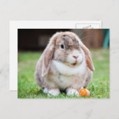 Schattige Lop-Eared Rabbit in the Grass met Wortel Briefkaart (Voorkant / Achterkant)