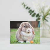 Schattige Lop-Eared Rabbit in the Grass met Wortel Briefkaart (Staand voorkant)