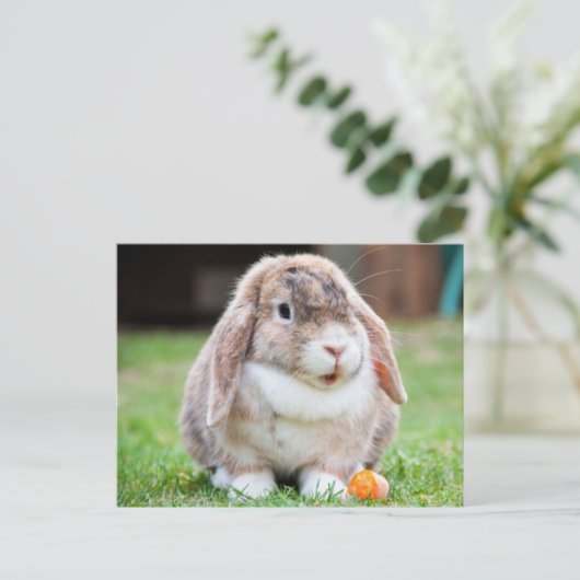 Schattige Lop-Eared Rabbit in the Grass met Wortel Briefkaart (Staand voorkant)