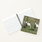 Schattige Lundy Island Lambs Notitieboek (Binnen)